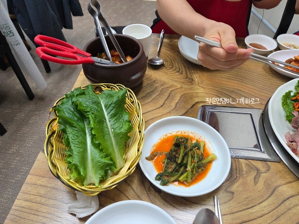전원일기 사진 5