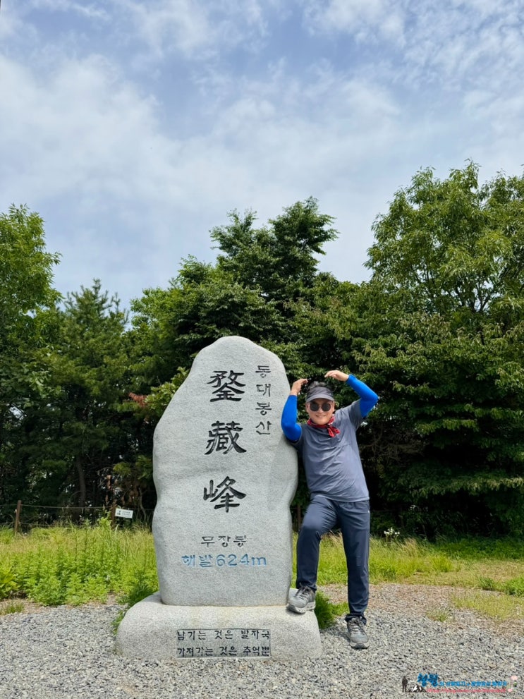   여름날 푸른억새 넘실대는 경주 동대봉산 무장봉(무장산) 산행