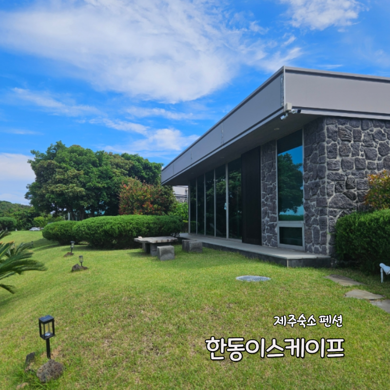 [제주] 돌아기와 제주도 3박4일 한동이스케이프
