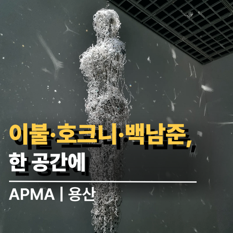 2026년의 감각 | 아모레퍼시픽 미술관 전시 CHAPTER FIVE 후기