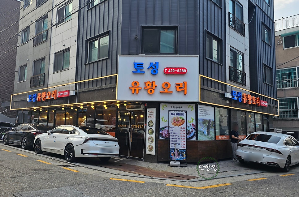 토성유황오리 사진 1
