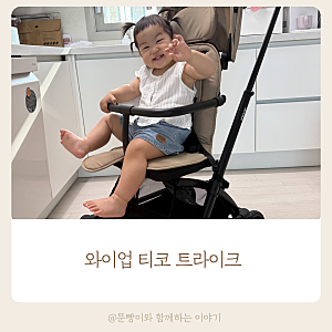마지막 정착템 와이업 티코 트라이크 한 달 사용 후기(기내 반입 후기)