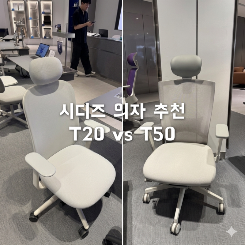 시디즈 사무용의자 비교 T50 T20 (성수 시디즈 매장 방문)