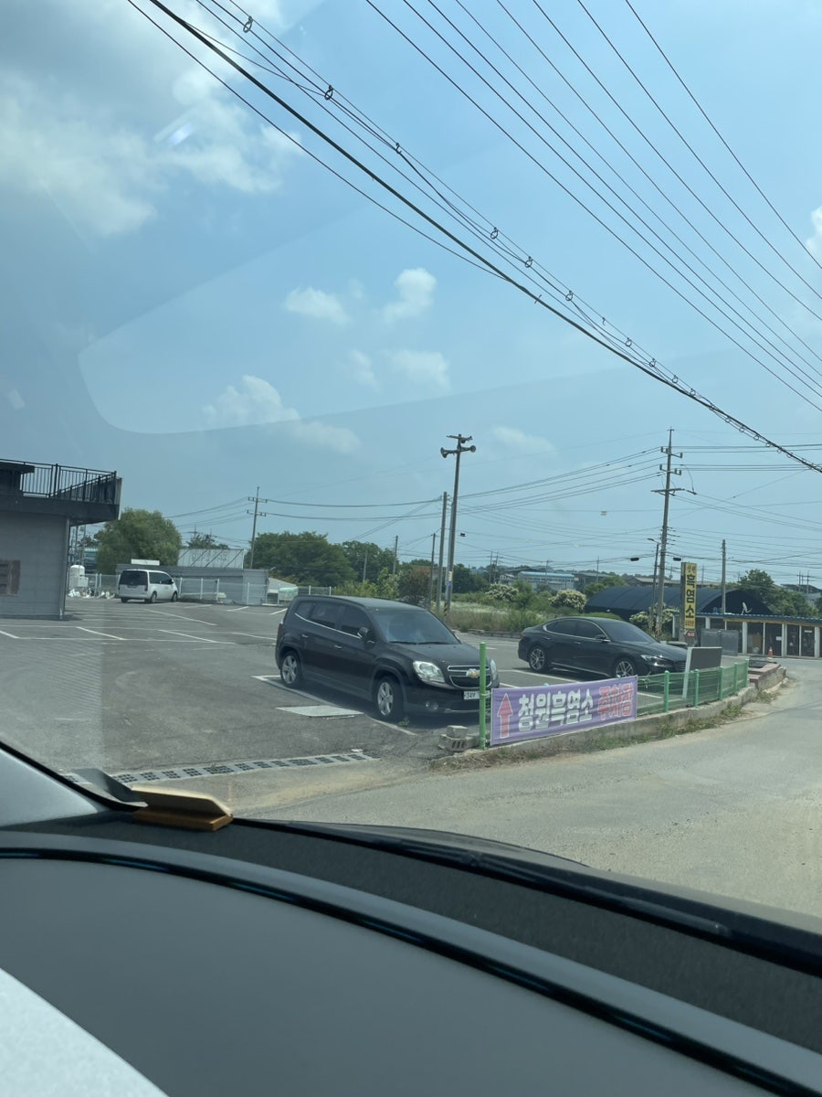 청원흑염소 사진 4