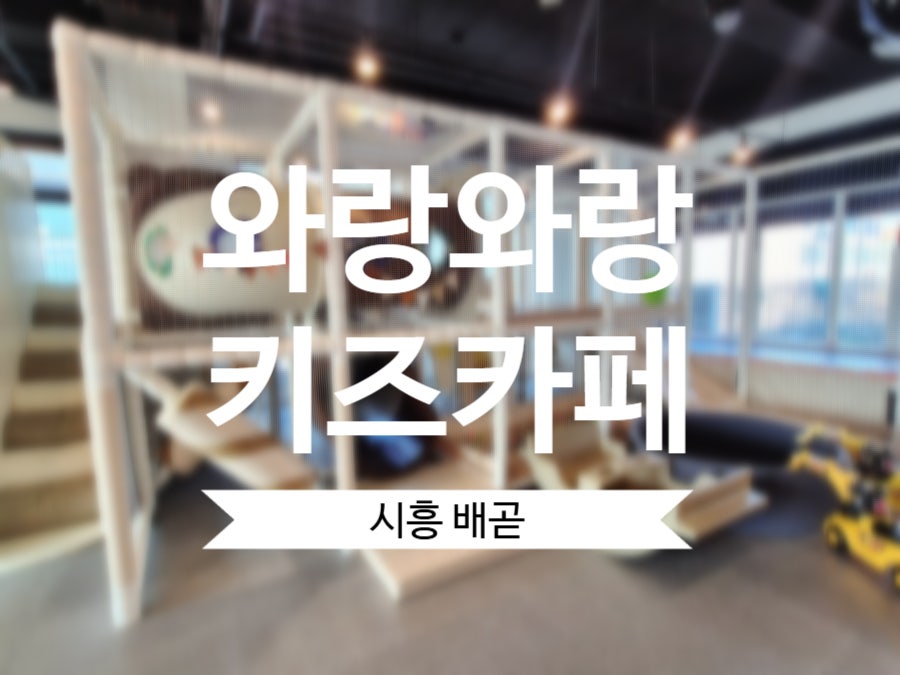 와랑와랑키즈카페 배곧본점 사진 1