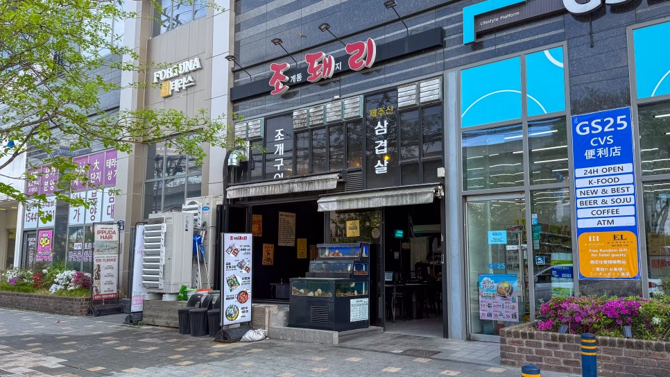 조돼리 사진 6