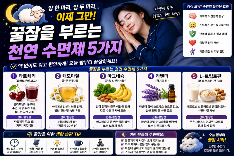 "양 한 마리, 양 두 마리... 이제 그만!" 꿀잠을 부르는 천연 수면제 5가지