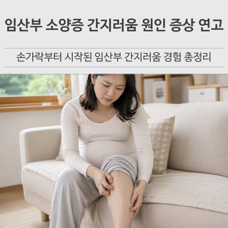 임산부 소양증 연고 증상 원인 부위 손가락 간지러움 경험 후기