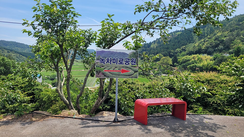 골망태 사진 3