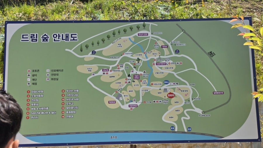 드림숲 사진 3