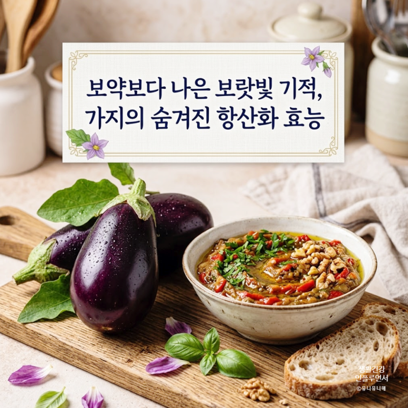 안토시아닌 가득한 가지효능과 오래 먹는 가지 보관법 총정리