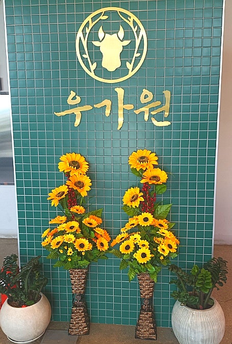 우가원 사진 4