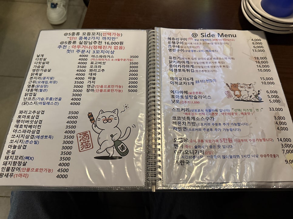 주묘 사진 2