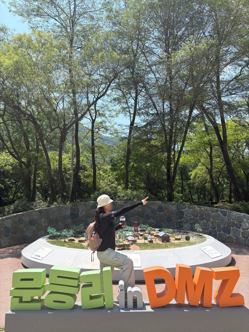 색다른 걷기 코스 - 국민이 함께 즐기는 DMZ 평화의 길 행사