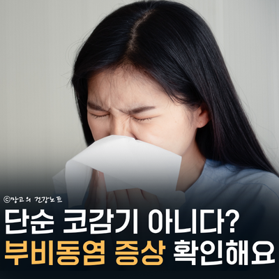코감기 아니에요! 부비동염 증상 (급성 vs 만성) 원인 대처법 감기 차이점