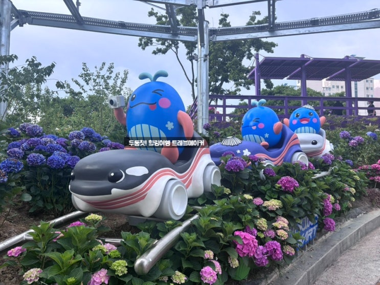  울산 웨일즈 카트 장생포 수국축제 보고 발견한 울산여행 핫플