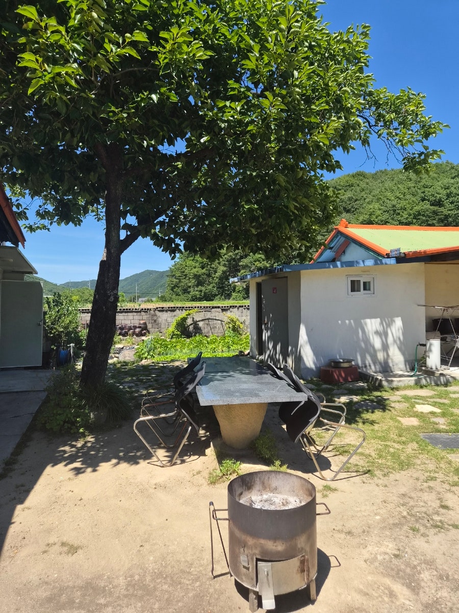 계룡산은행나무민박 사진 5