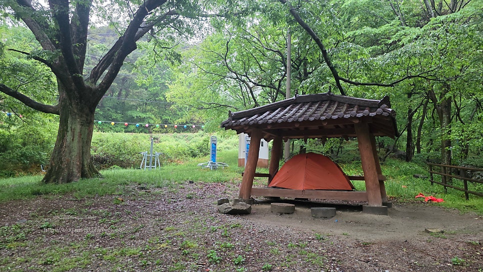 월곡산림욕장 사진 3