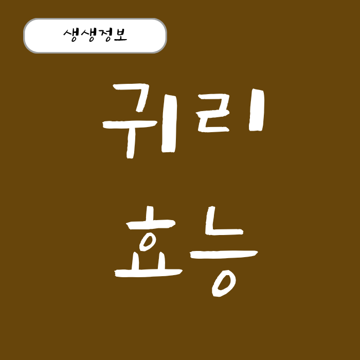 식이섬유 덩어리, 귀리 효능 볶은 귀리 효능 귀리 가루 효능