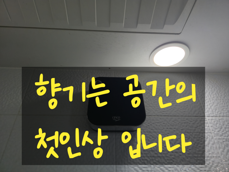 세스코방향제 에어제닉&에어퍼퓸 전국 무료 방문! 사업장 설치