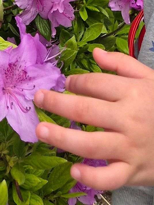 자꾸 손이 입으로 가는 7살 아이, 혼내지 않고 손톱 물어뜯는 습관 고치기 프로젝트
