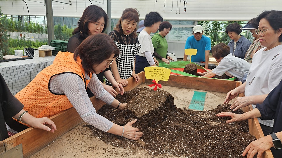 마인바움 사진 4