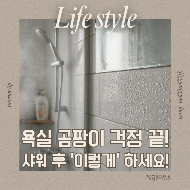 "지긋지긋한 욕실 곰팡이!" 샤워 후 '이것'만 하고 나오세요!