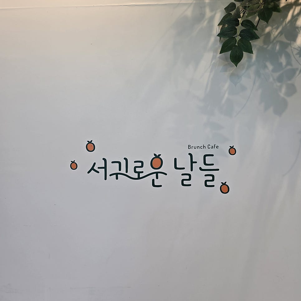 서귀로운날들 사진 3