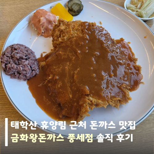 금화왕돈까스 풍세산업단지점 사진 1