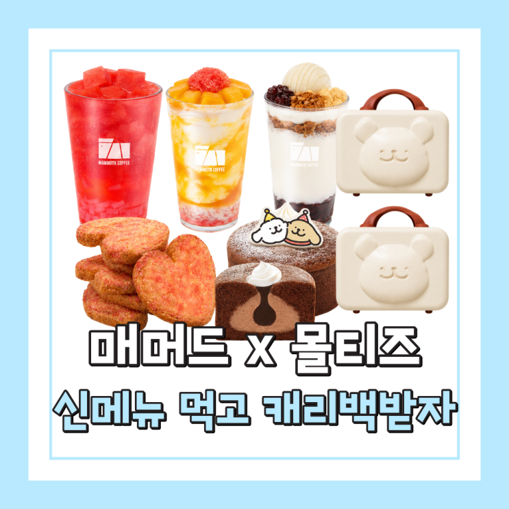  매머드커피 몰티즈 콜라보, 신메뉴 가격 칼로리 굿즈 이벤트 정리