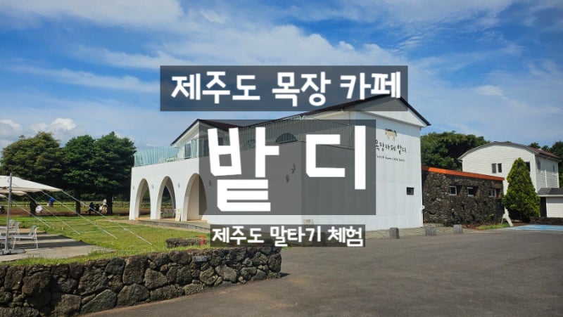 아이랑 제주도 밭디 목장카페 / 밭디 말타기 체험 /제주 동쪽여행