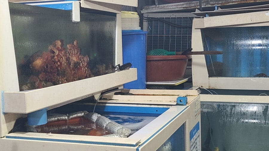 우성수퍼낚시자연산횟집 사진 6
