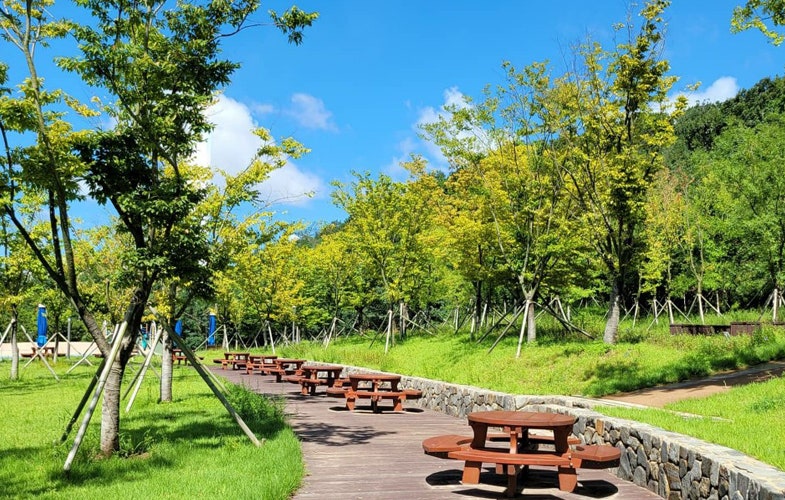 백암토종순대국 가평북면점 사진 5