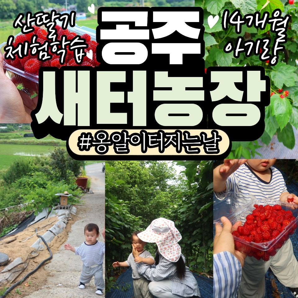 새터 사진 1
