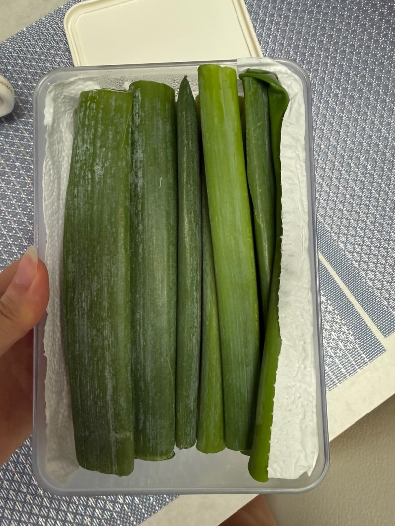 대파 세척/미세척 보관법 총정리 (유통기한, 주의사항 등)
