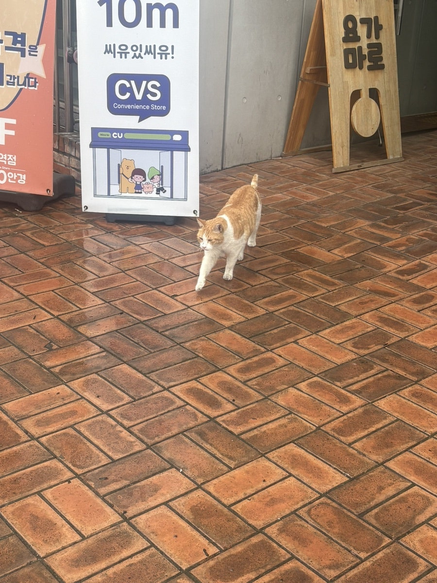 이모네왕파전 사진 1