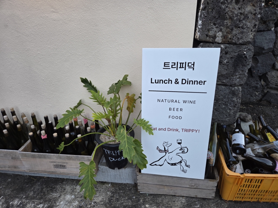 트리피덕 사진 4