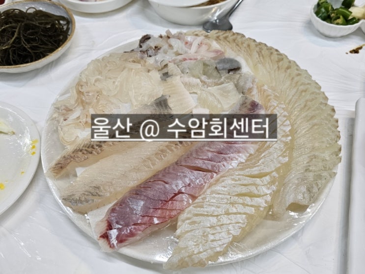  울산 수암회센터 횟집 , 2층 달포 초장 식당 추천 내돈내산 !