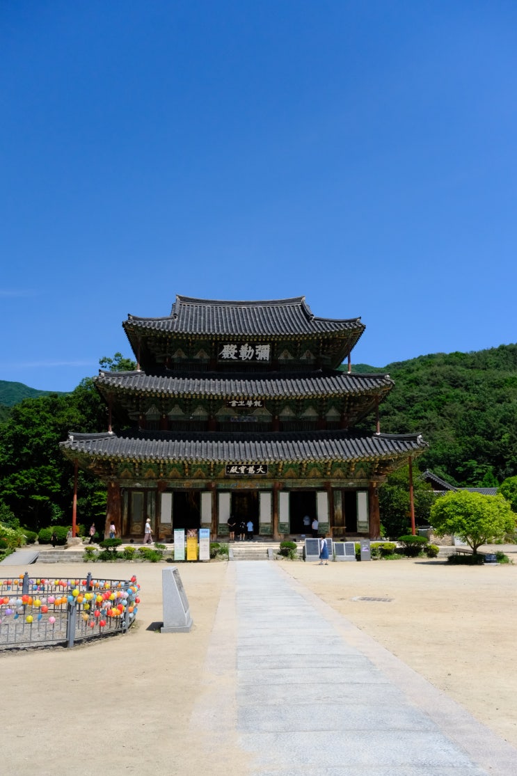 여름 김제 가볼만한곳 전북 모악산 계곡 금산사 사찰