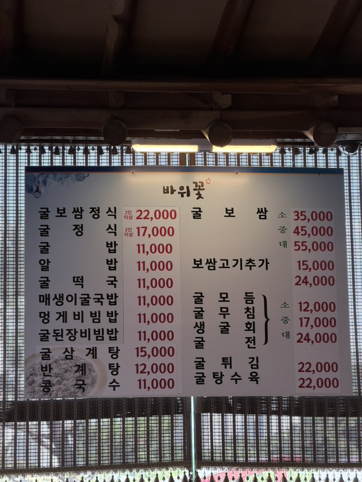 바위꽃 사진 3