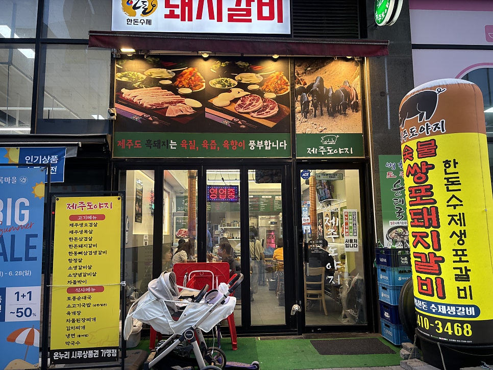 제주도야지 사진 1