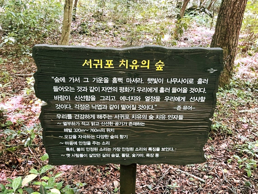 노고록 사진 3