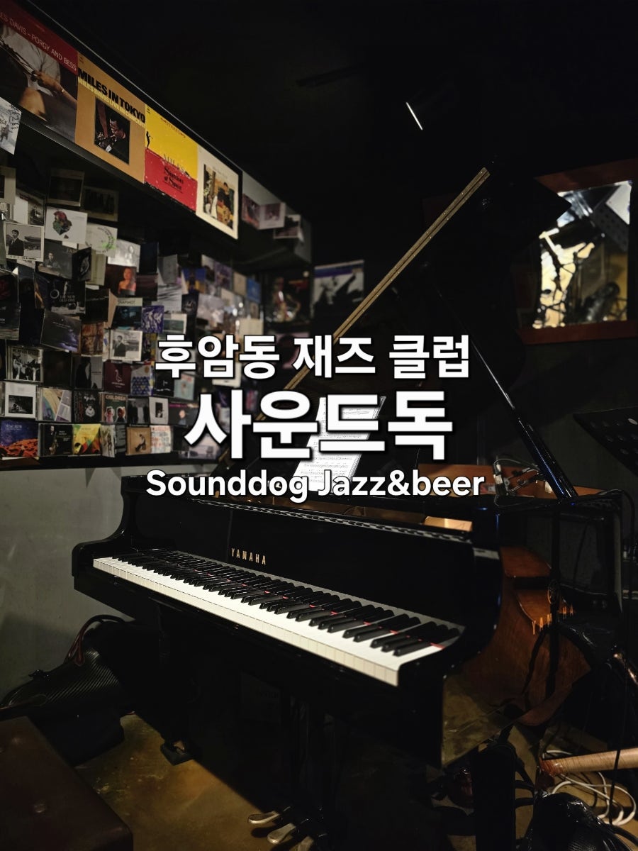 사운드독 사진 2