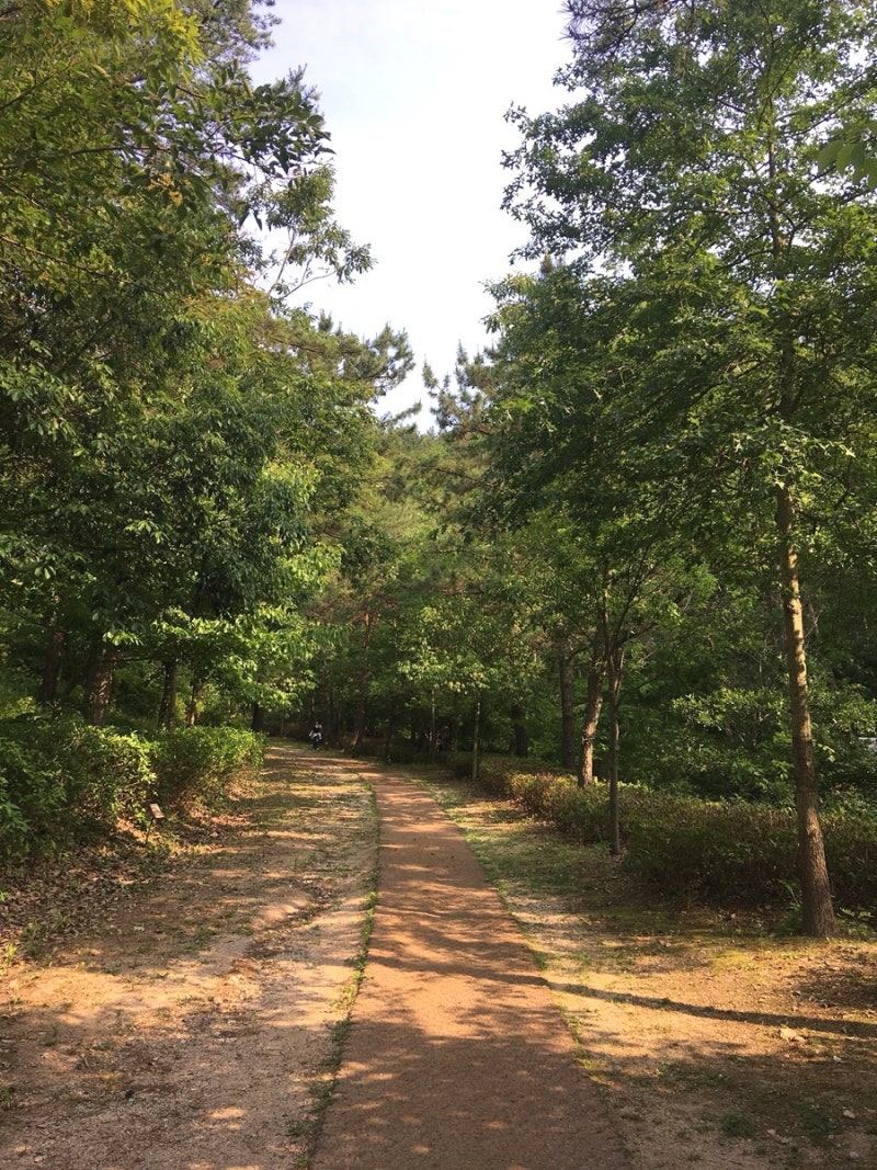 부산 기장 가볼만한곳 부모님이 좋아하실 산책 코스 | 힐링하며 걷기 좋은 치유의 숲 후기