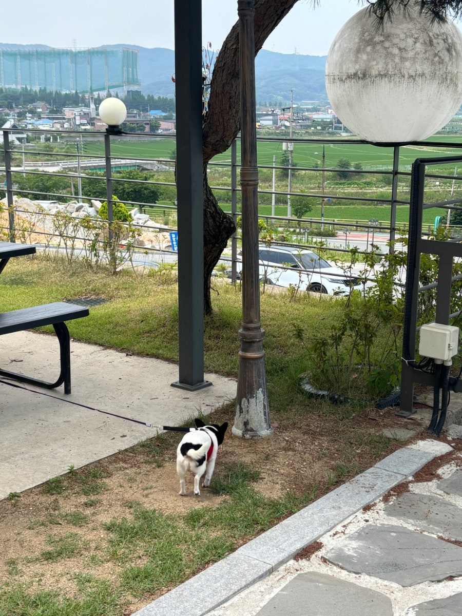그린브리즈 사진 6