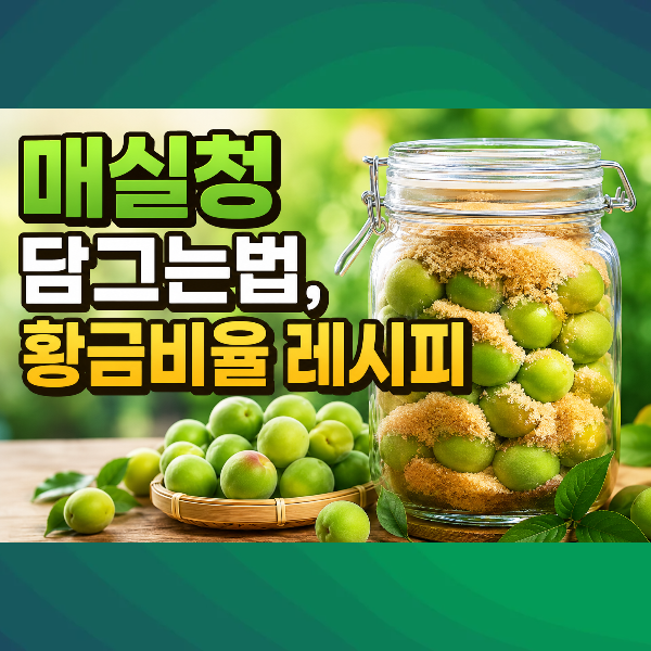 매실청 담그는법, 前 청와대 셰프 황금비율! 실패 없는 레시피, 먹는법, 보관법, 매실청 효능 ....