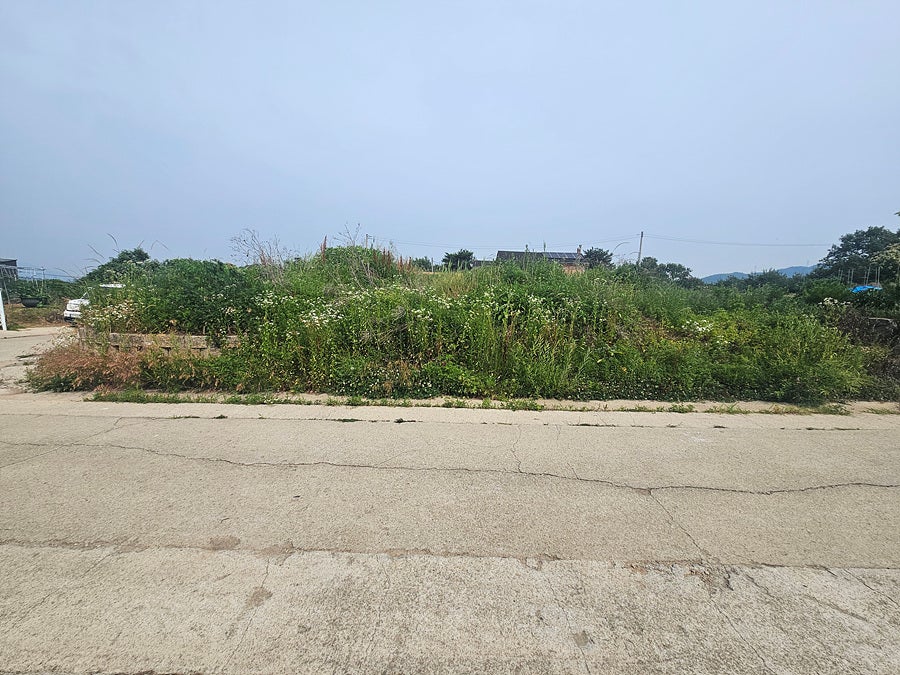 덕정산 사진 7