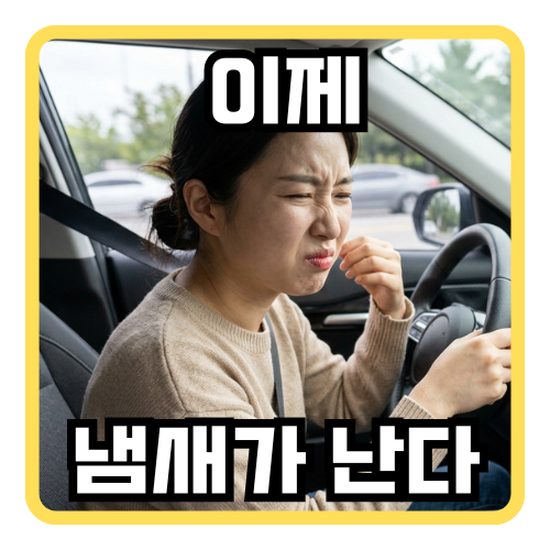 에바크리닝, 쾌적한 차량에어컨을 위해