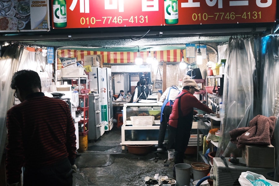 개미집 사진 4