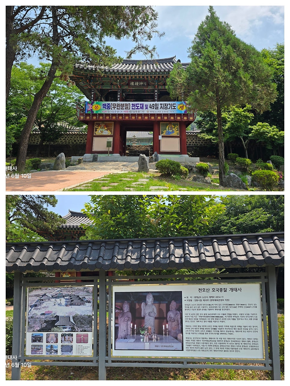 고향식당 사진 6